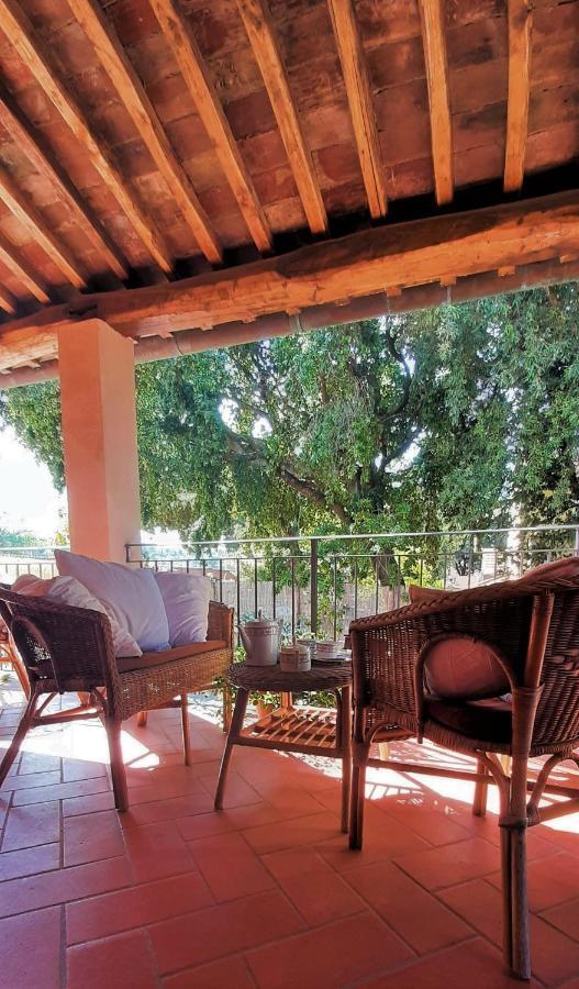 Residence Solalto San Vincenzo Eksteriør billede