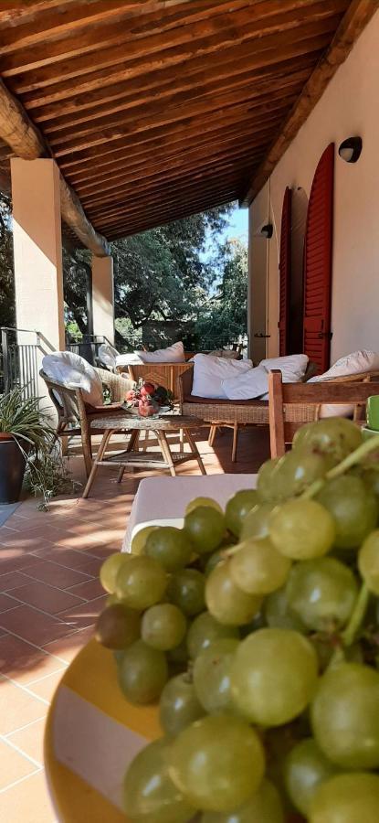 Residence Solalto San Vincenzo Eksteriør billede